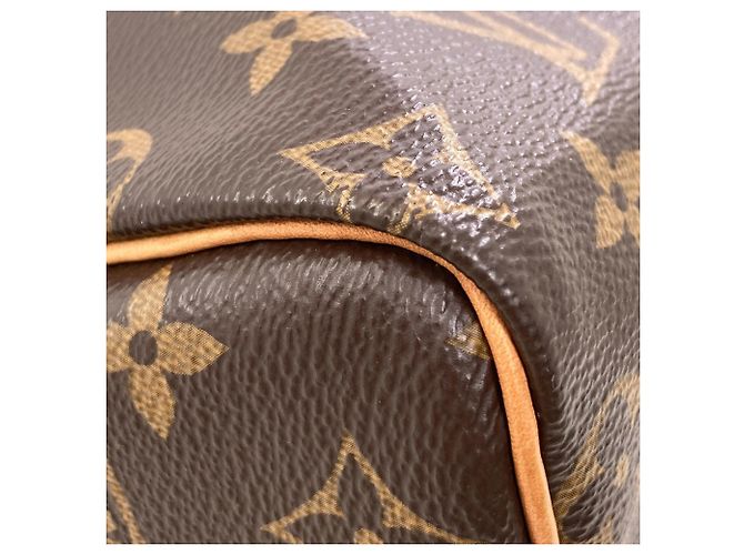 Louis Vuitton M41109 Speedy 25 Handbag - vista 15