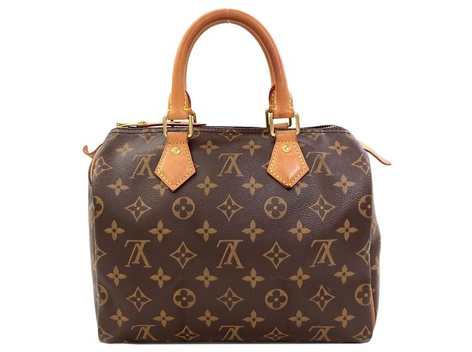 Louis Vuitton M41109 Speedy 25 Handbag - vista 2