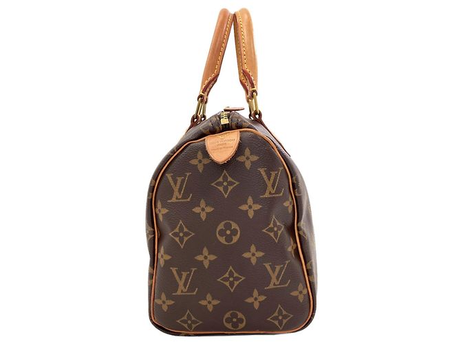 Louis Vuitton M41109 Speedy 25 Handbag - vista 3
