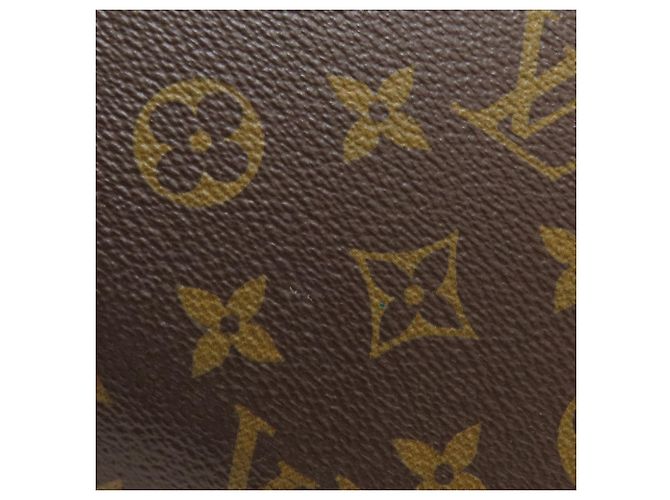 Zaino Louis Vuitton Josh Monogram Macassar - vista 13