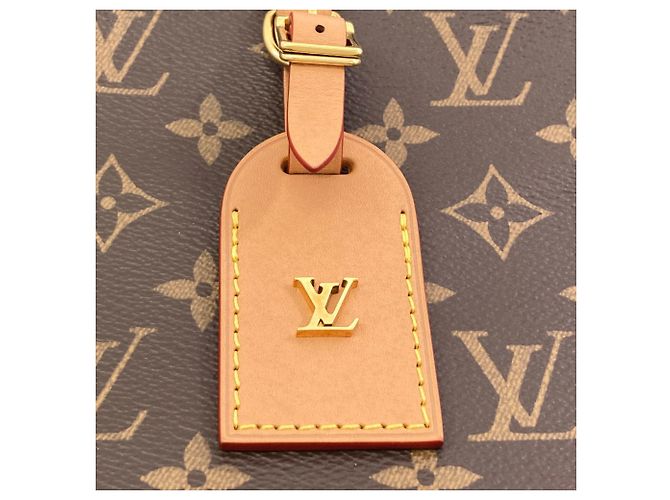 Borsa a tracolla Louis Vuitton Odeon NM MM - vista 9