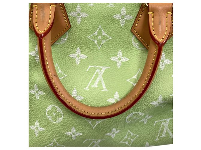 Borsa Louis Vuitton Speedy P9 Bandoulière 30 - vista 20