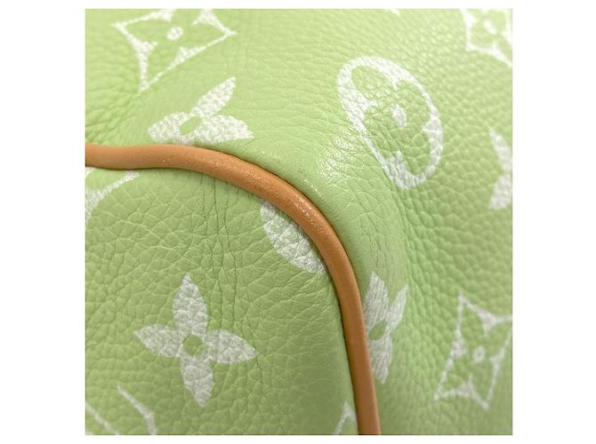 Borsa Louis Vuitton Speedy P9 Bandoulière 30 - vista 21