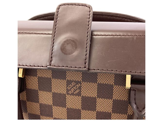 Borsa Louis Vuitton Damier Canvas Salia Soe - vista 11