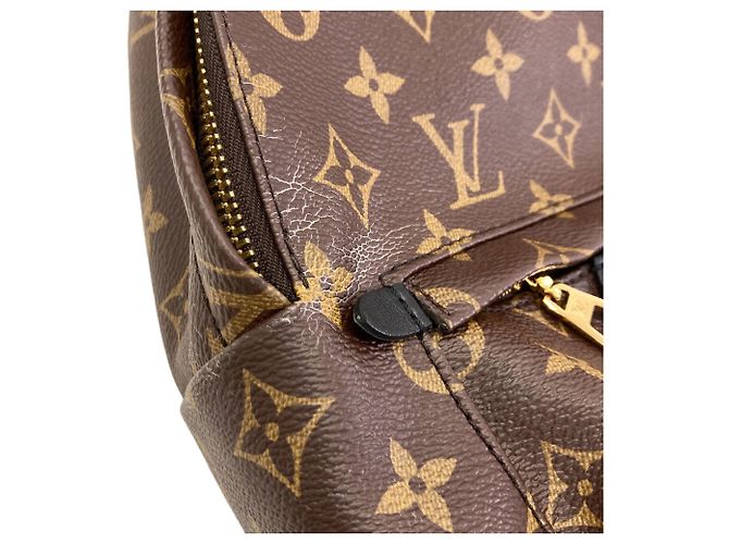 Zaino Louis Vuitton Palm Springs PM - vista 10