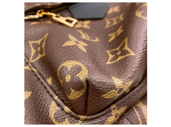 Zaino Louis Vuitton Palm Springs PM - vista 13