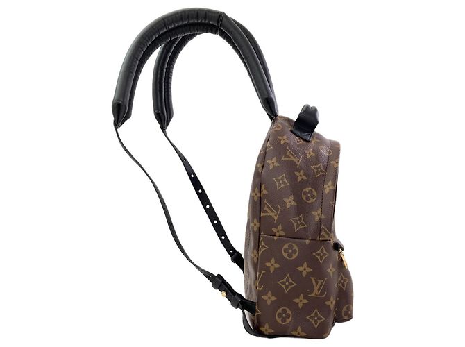 Zaino Louis Vuitton Palm Springs PM - vista 3