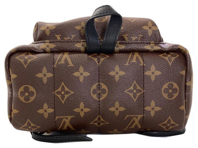 Zaino Louis Vuitton Palm Springs PM - vista 4