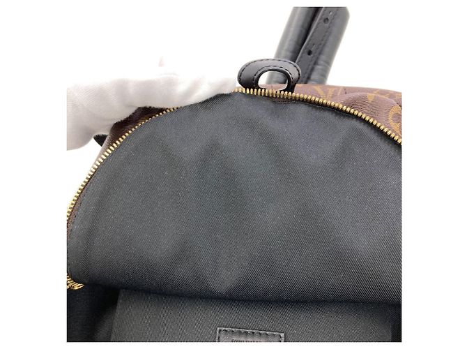 Zaino Louis Vuitton Palm Springs PM - vista 8