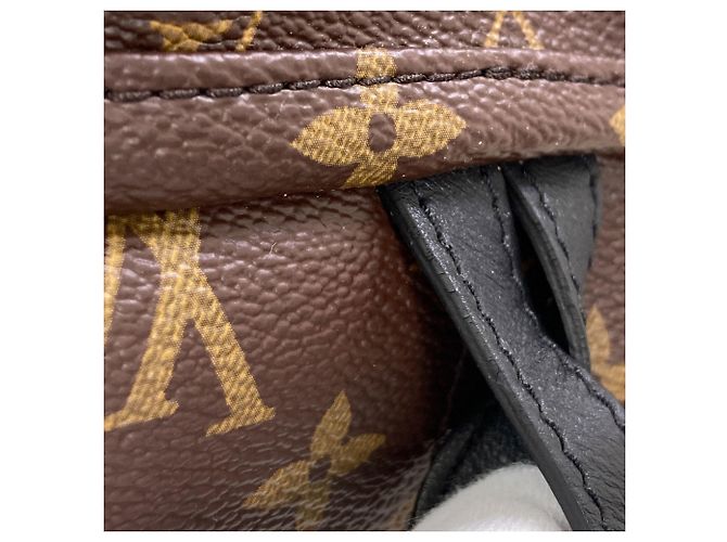 Zaino Louis Vuitton Palm Springs PM - vista 9