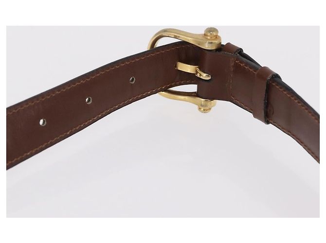 Céline CELINE Triomphe Shoulder Bag Leather Brown Gold Tone - vista 10