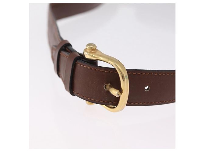 Céline CELINE Triomphe Shoulder Bag Leather Brown Gold Tone - vista 8