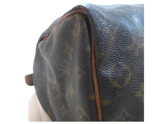 Borsa Louis Vuitton Speedy 35 Monogram - vista 14