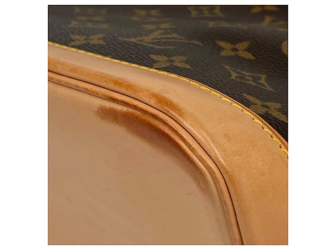 Borsa Louis Vuitton Alma - Monogram Brown - vista 3