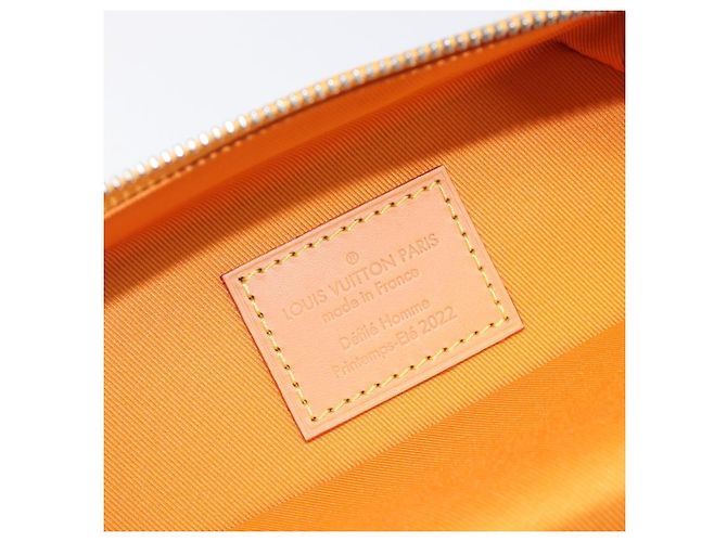 LOUIS VUITTON Vertical Box Trunk Shoulder Bag Saffron M59666 - vista 11