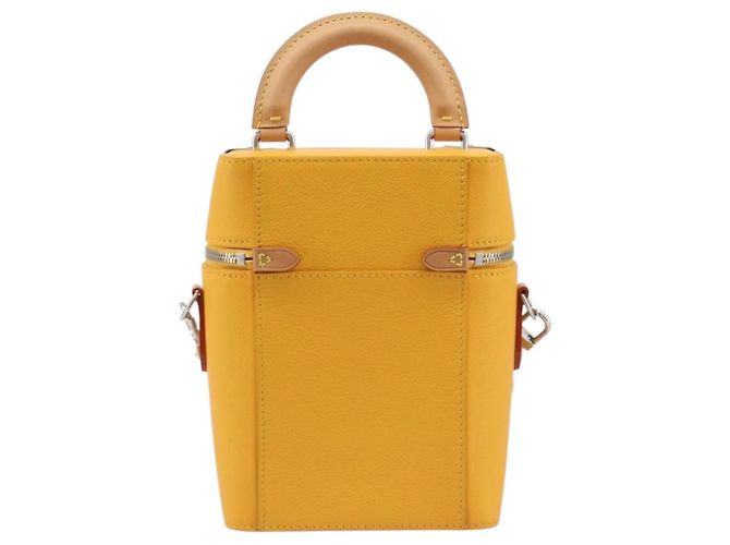 LOUIS VUITTON Vertical Box Trunk Shoulder Bag Saffron M59666 - vista 2