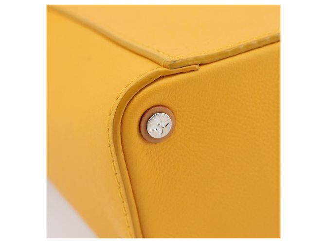 LOUIS VUITTON Vertical Box Trunk Shoulder Bag Saffron M59666 - vista 20