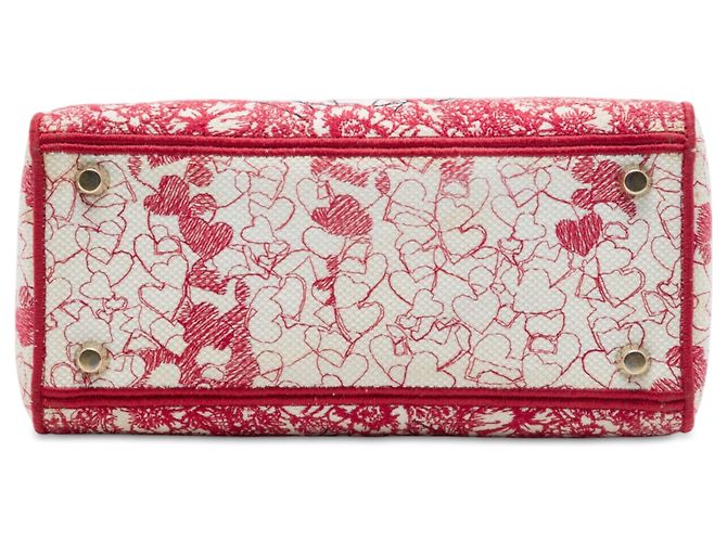 Dior Red DiorAmour Medium Embroidered Canvas Royale Lady D Lite - vista 3