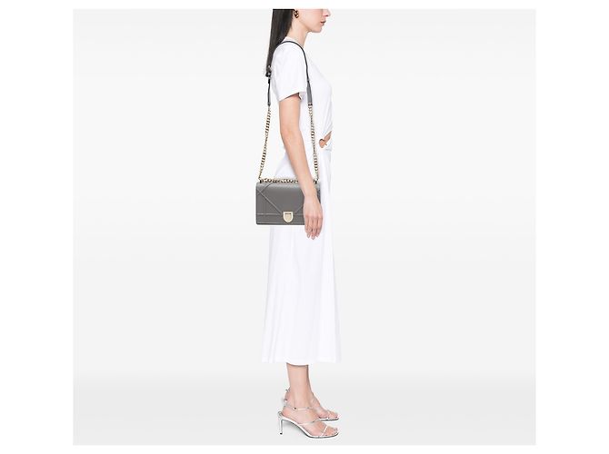 Dior Gray Medium Grained Calfskin Diorama Flap - vista 7
