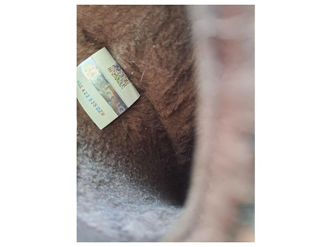 Zuecos UGG estampado de leopardo - vista 4