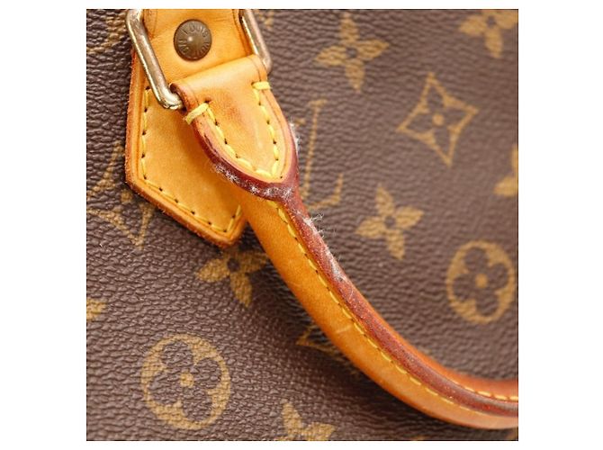 Louis Vuitton Speedy 30 Monogram Canvas - vista 12