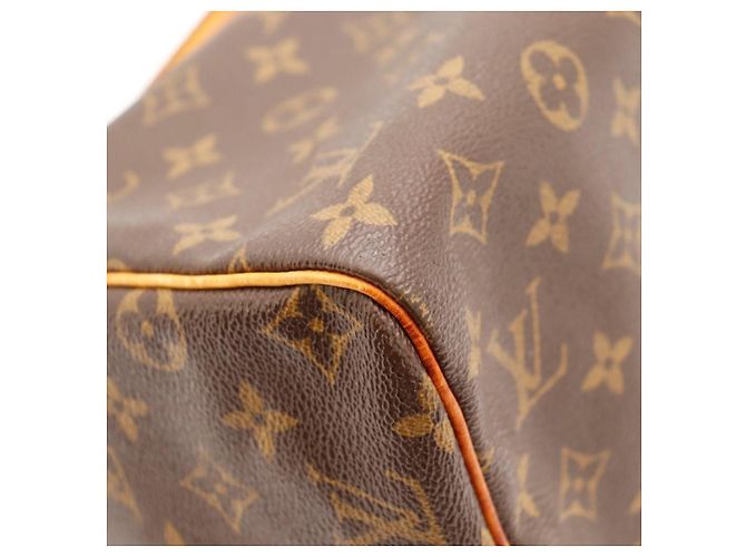 Louis Vuitton Speedy 30 Monogram Canvas - vista 13