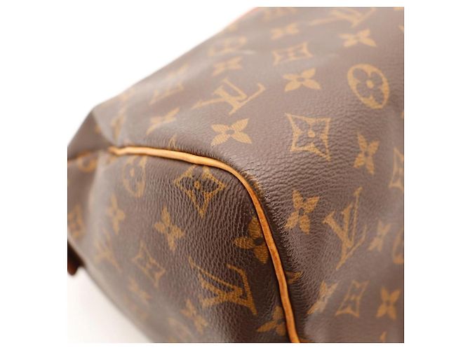 Louis Vuitton Speedy 30 Monogram Canvas - vista 13