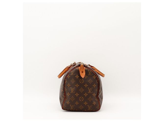 Louis Vuitton Speedy 30 Borsa Monogram Canvas - vista 3