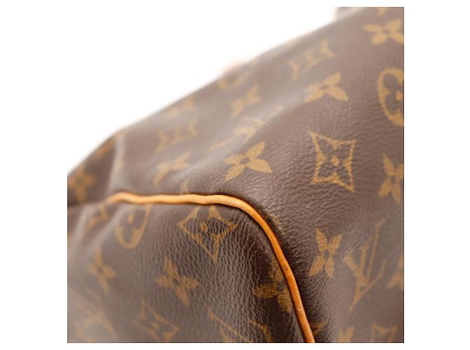 Louis Vuitton Speedy 30 Monogram Canvas - vista 13