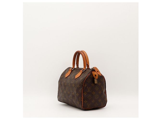 Louis Vuitton Speedy 30 Monogram Canvas - vista 2