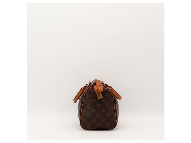 Louis Vuitton Speedy 30 Monogram Canvas - vista 3