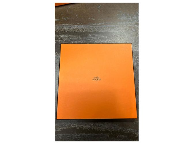 Hermès "Grrrrr !" Foulard 100 Cashmere e Seta Vert Matcha - vista 6