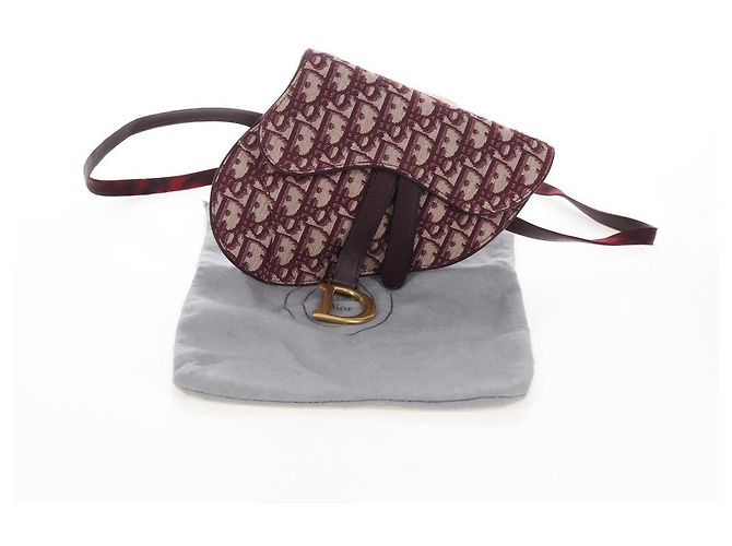 Christian Dior Trotter Canvas Saddle Waist bag Red Gold - vista 12