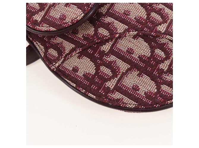 Christian Dior Trotter Canvas Saddle Waist bag Red Gold - vista 15