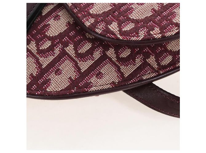 Christian Dior Trotter Canvas Saddle Waist bag Red Gold - vista 16