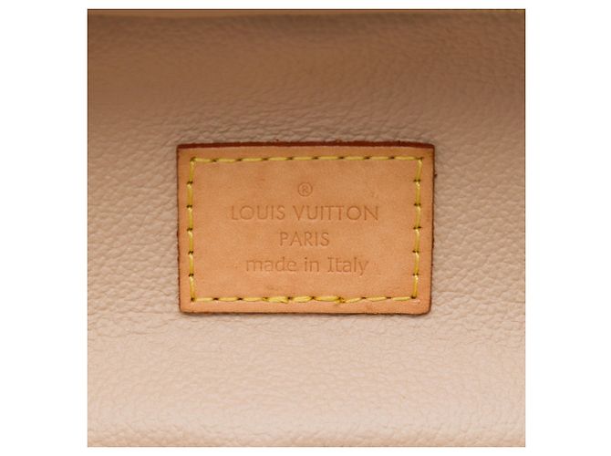 Louis Vuitton Brown Monogram Nice Nano Vanity Case - vista 5