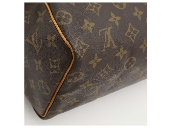 Borsa Louis Vuitton Monogram Speedy 25 - vista 4