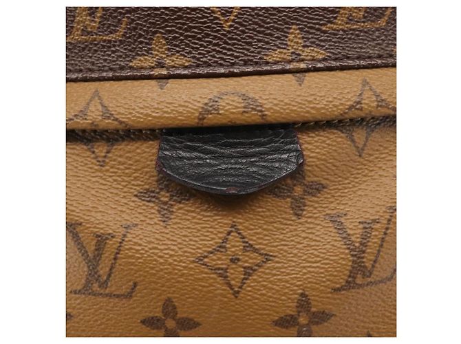 Louis Vuitton Palm Springs Reverse Monogram Canvas PM - vista 6