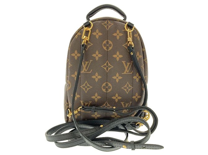 Louis Vuitton Palm Springs Backpack Monogram Backpack - view 2