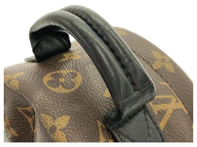 Louis Vuitton Palm Springs Backpack Monogram Backpack - view 6