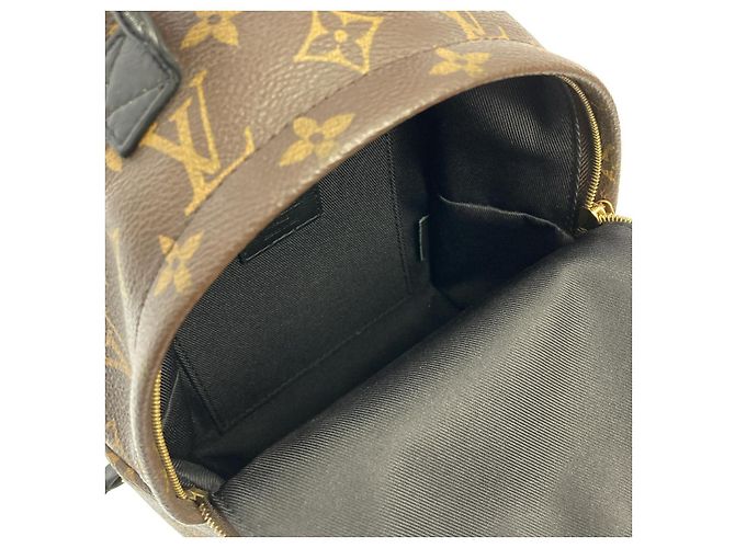Louis Vuitton Palm Springs Backpack Monogram Backpack - view 8