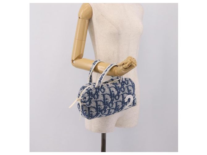 Christian Dior Trotter Canvas Hand Bag Pile Blue White - vista 28