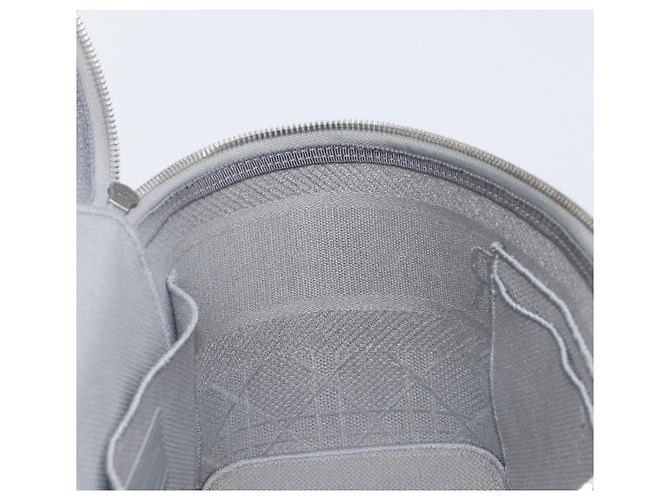 Christian Dior D-Lite Vanity Cosmetic Pouch Canvas Gray Silver - vista 23