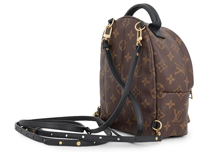 Zaino Louis Vuitton Monogram Palm Springs Mini - vista 2