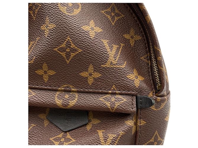 Zaino Louis Vuitton Monogram Palm Springs Mini - vista 6