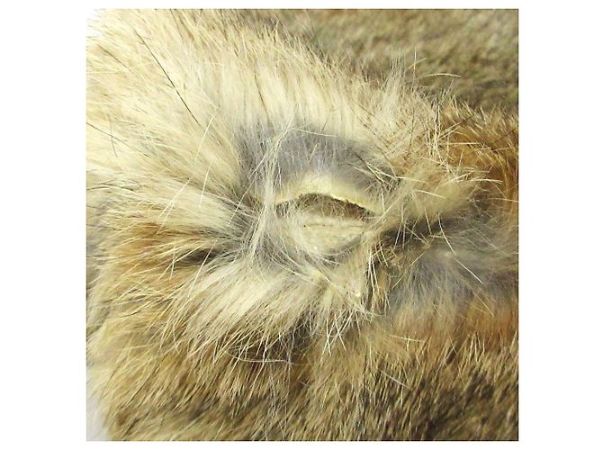 Bally Kaninchenfell-Schal - Ansicht 8