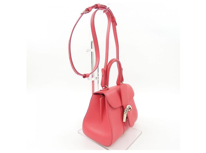 Borsa Delvaux Brillant Rodeo in vitello - vista 2