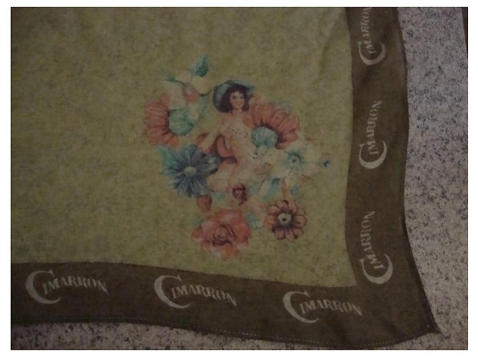 Autre Marque Cimarron Pañuelo de Seda Estampado Floral - vista 7