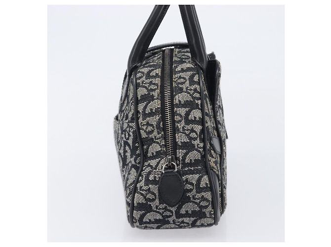Christian Dior Trotter Double Saddle Canvas - vista 4