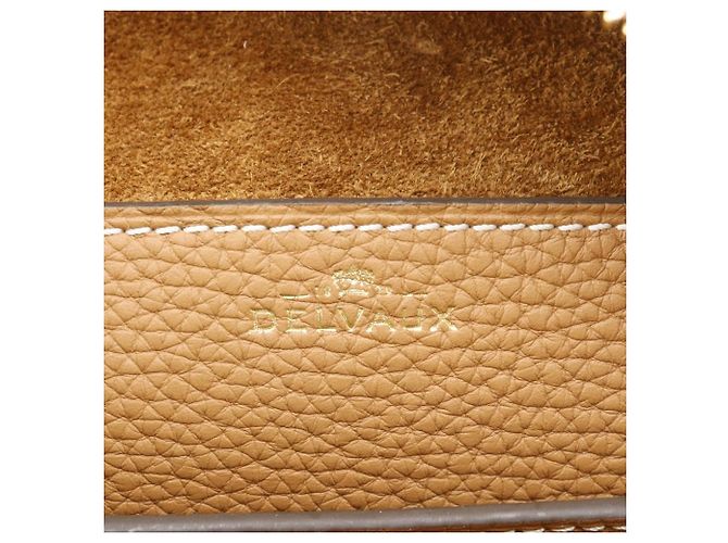 Borsa a mano Delvaux Cool Box MM in vitello - vista 14